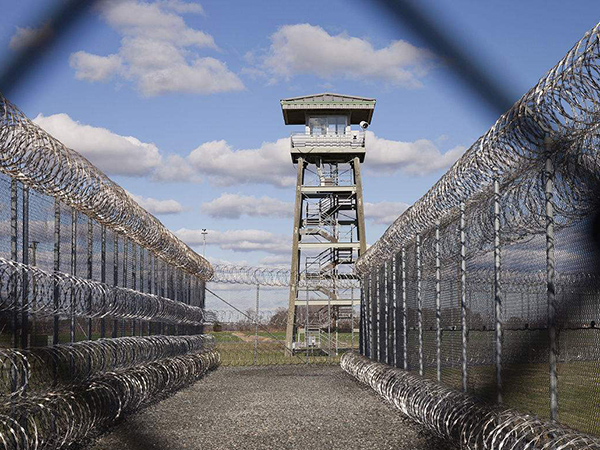 軍事重地防護網案例